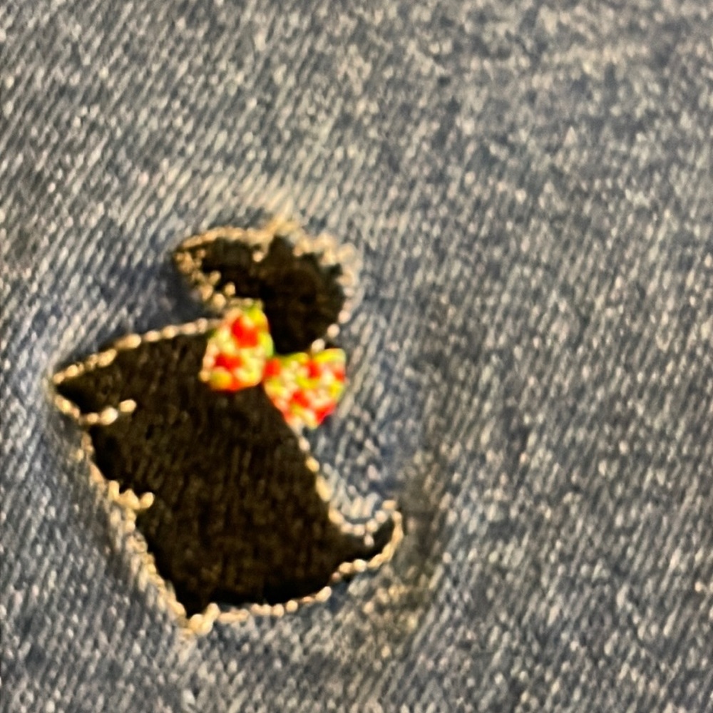 Quacker Jeans with holiday dog